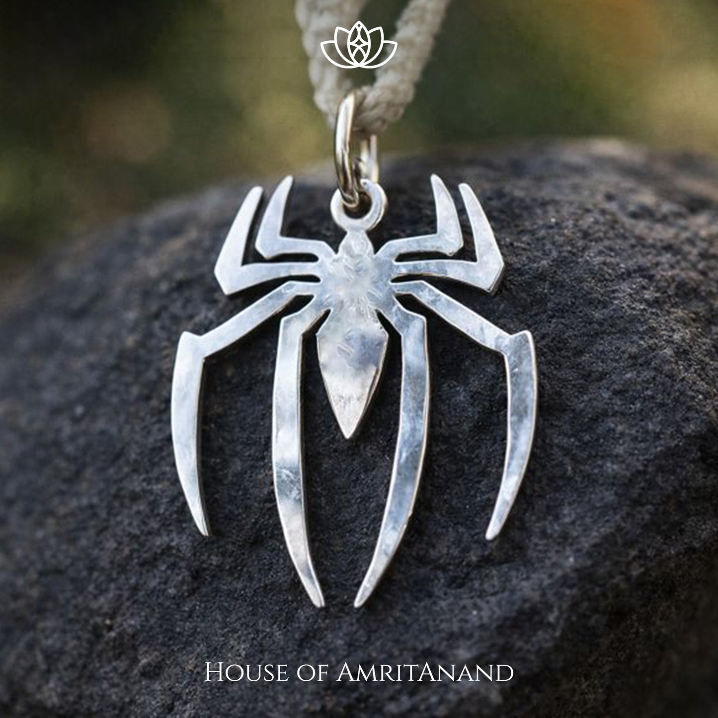Spider
